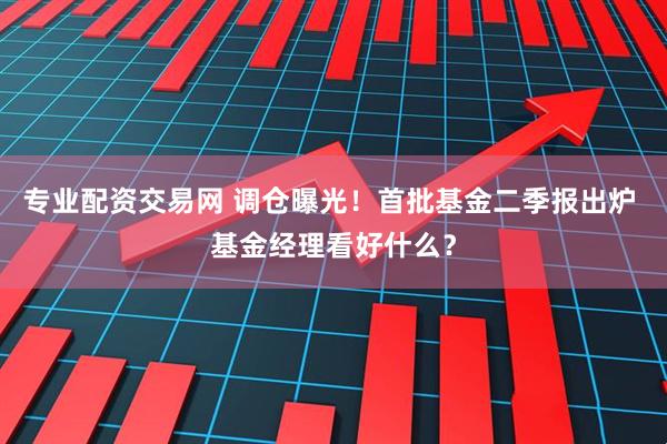 专业配资交易网 调仓曝光！首批基金二季报出炉 基金经理看好什么？