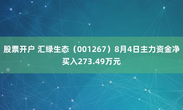股票开户 汇绿生态（001267）8月4日主力资金净买入273.49万元