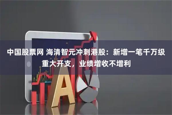 中国股票网 海清智元冲刺港股：新增一笔千万级重大开支，业绩增收不增利
